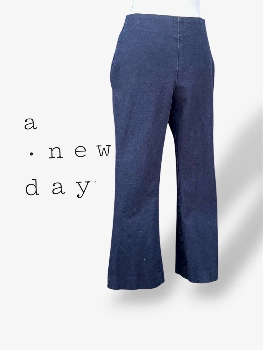 Side Zip Flat Front Pant A NEW DAY Womens Size 6 018047987